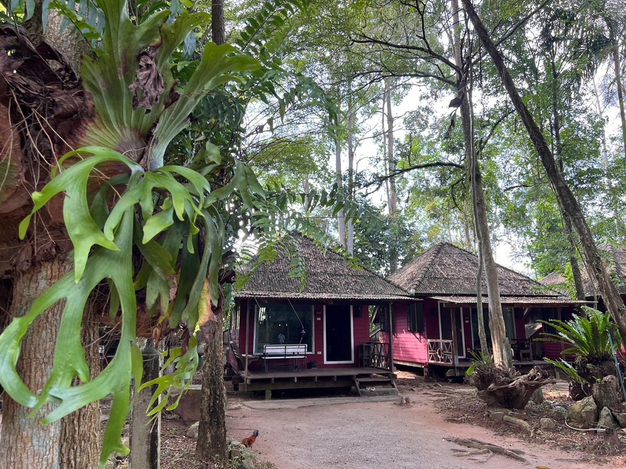 Pang Mai Resort Songkhla Exterior foto